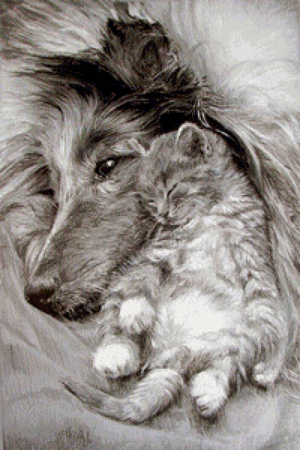 Вторая мама... - собака, монохром, котенок, забота, сон - предпросмотр