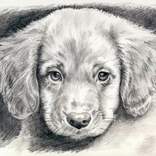 Схема вышивки «Грустная мордашка...»