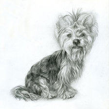 Схема вышивки «терьер»