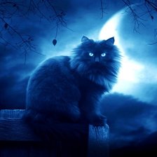 Схема вышивки «кошка»