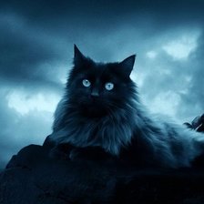 Схема вышивки «кошка»