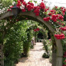 Схема вышивки «ЦВЕТЫ»