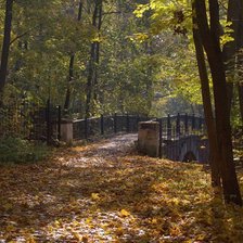 Схема вышивки «осень»
