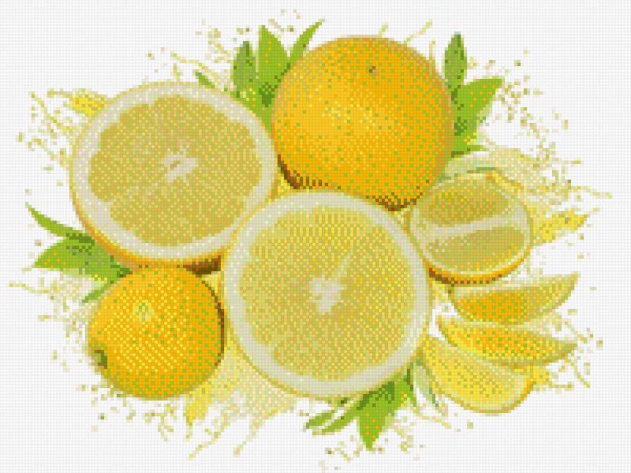 цитрус - цитрус, натюрморот - предпросмотр