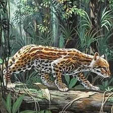 Схема вышивки «№577608»