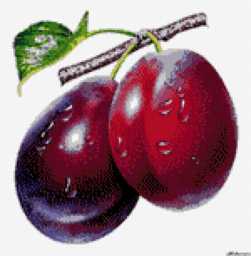 слива - ягода, слива, натюрморт - предпросмотр