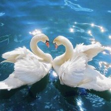 Схема вышивки «лебеди»