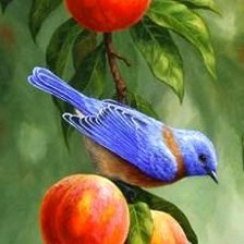 Схема вышивки «№577632»