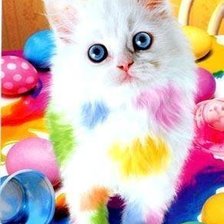 Схема вышивки «котенок-шалун»