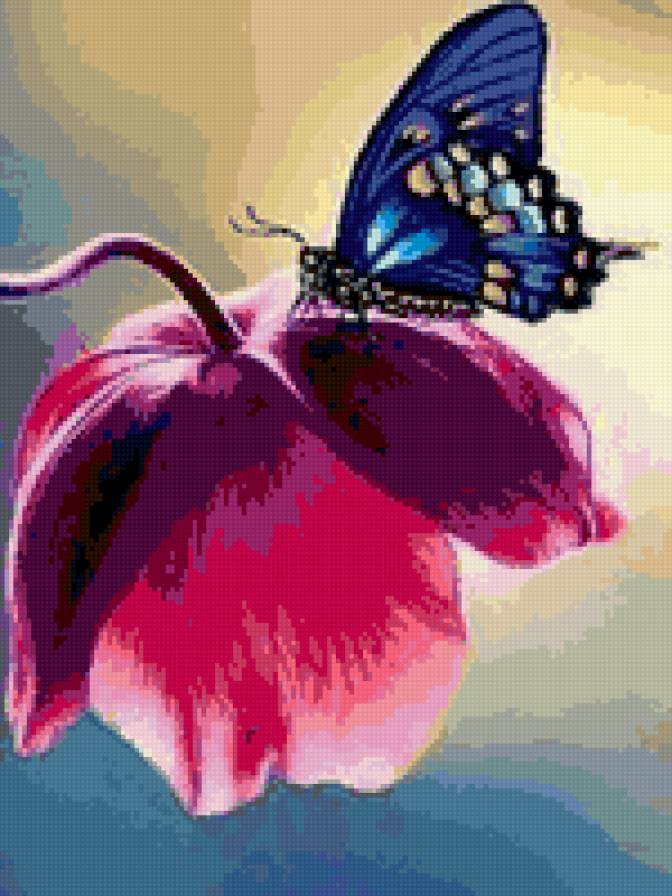 бабочка - бабочки, насекомые - предпросмотр