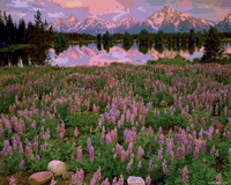 горная лаванда - пейзажи, цветы - предпросмотр