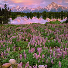 Схема вышивки «горная лаванда»