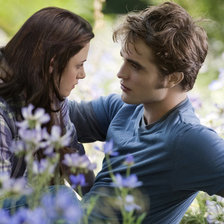 Схема вышивки «сумерки»