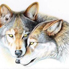 Схема вышивки «Волки пара»