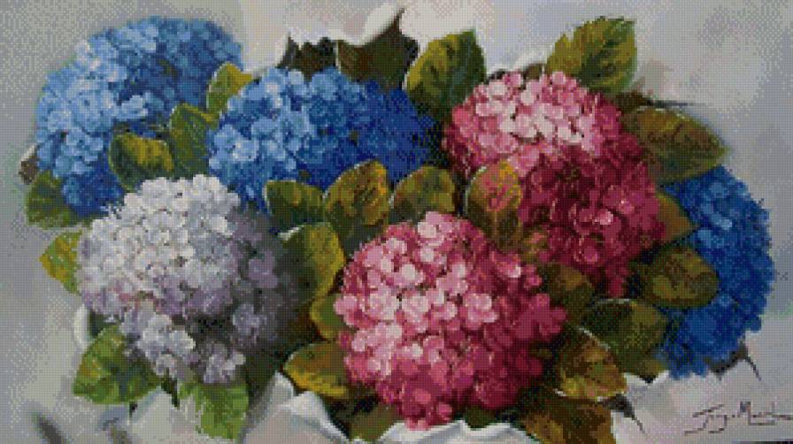 Гортензия - гортензия, цветы - предпросмотр