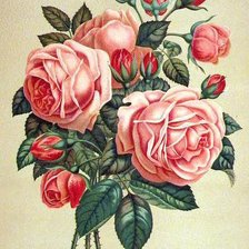 Схема вышивки «№577962»