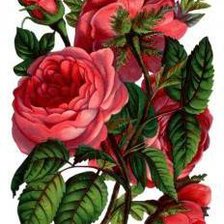 Схема вышивки «№578015»