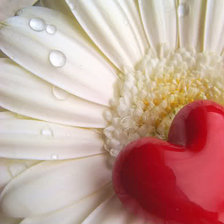 Схема вышивки «Сердце»