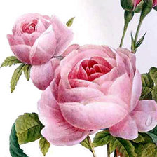 Схема вышивки «№578028»