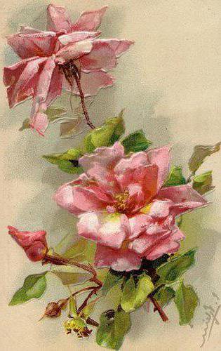 №578035 - цветы - оригинал