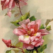 Схема вышивки «№578035»