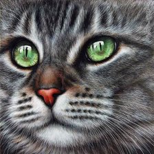 Схема вышивки «Усатый-полосатый»