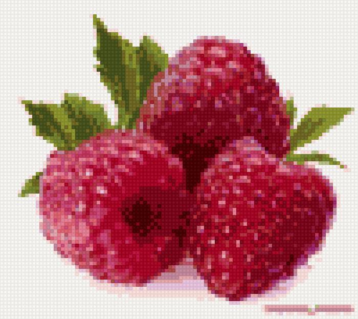 малина - предпросмотр