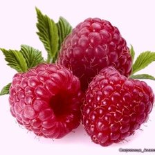 Схема вышивки «малина»