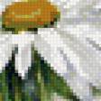 Предпросмотр схемы вышивки «ромашки» (№578240)