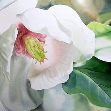 Схема вышивки «белый гибискус»