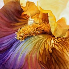 Схема вышивки «диптих "Ирис"»