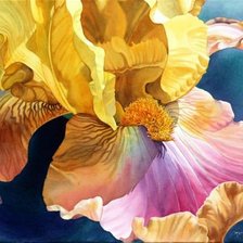 Схема вышивки «диптих "Ирис"»