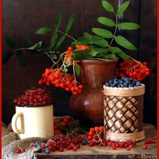 Схема вышивки «ягоды»