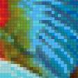 Предпросмотр схемы вышивки «попугай» (№578401)