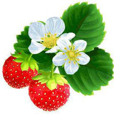 Схема вышивки «№578417»