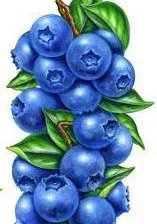 Схема вышивки «№578478»