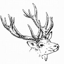 Схема вышивки «олень\ тема на подушку\»