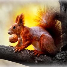 Схема вышивки «Белочка с орешком»