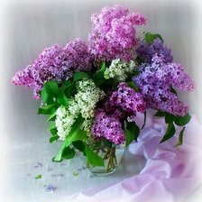 Схема вышивки «Сирень»