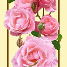 Схема вышивки «№578669»