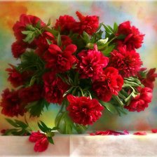 Схема вышивки «Пионы»