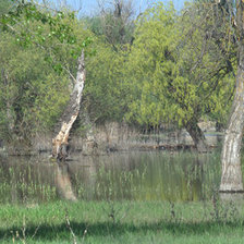 Схема вышивки «№578765»