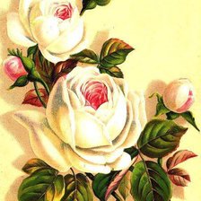 Схема вышивки «№578795»