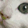 Предпросмотр схемы вышивки «Котенок в цветах» (№578872)
