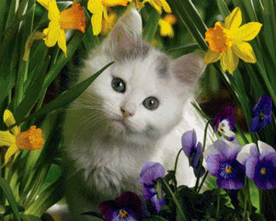 Котенок в цветах - животные, цветы, кошки - предпросмотр