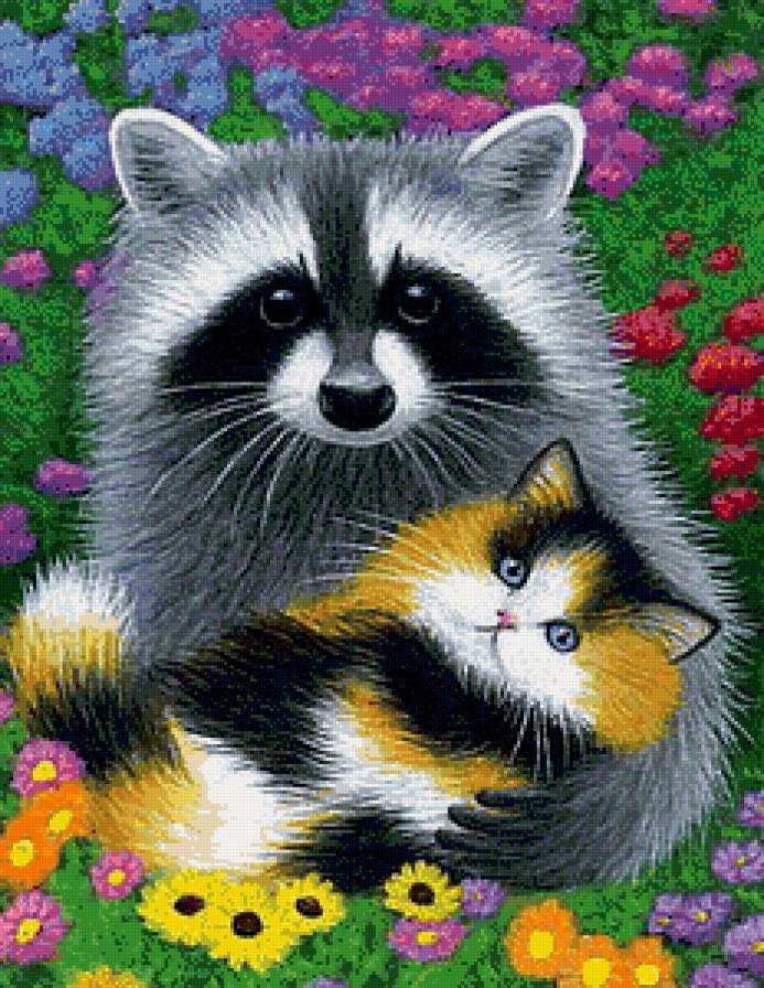 Енотик - кошки, животные, еноты - предпросмотр