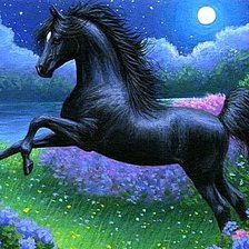 Схема вышивки «Вороной»