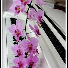 Схема вышивки «№578981»