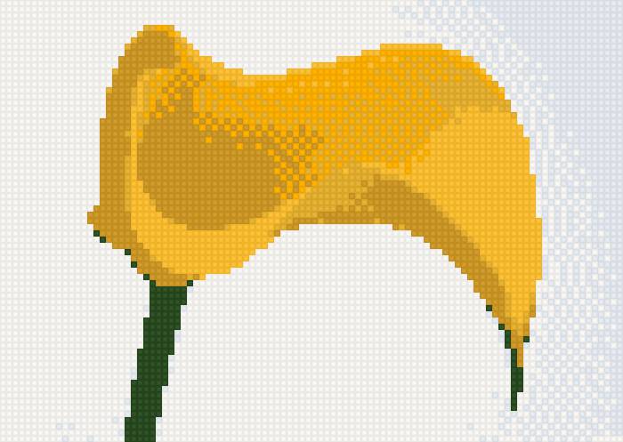 калла жолтая - цветок, калла, ростение - предпросмотр