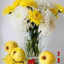 Схема вышивки «№579031»